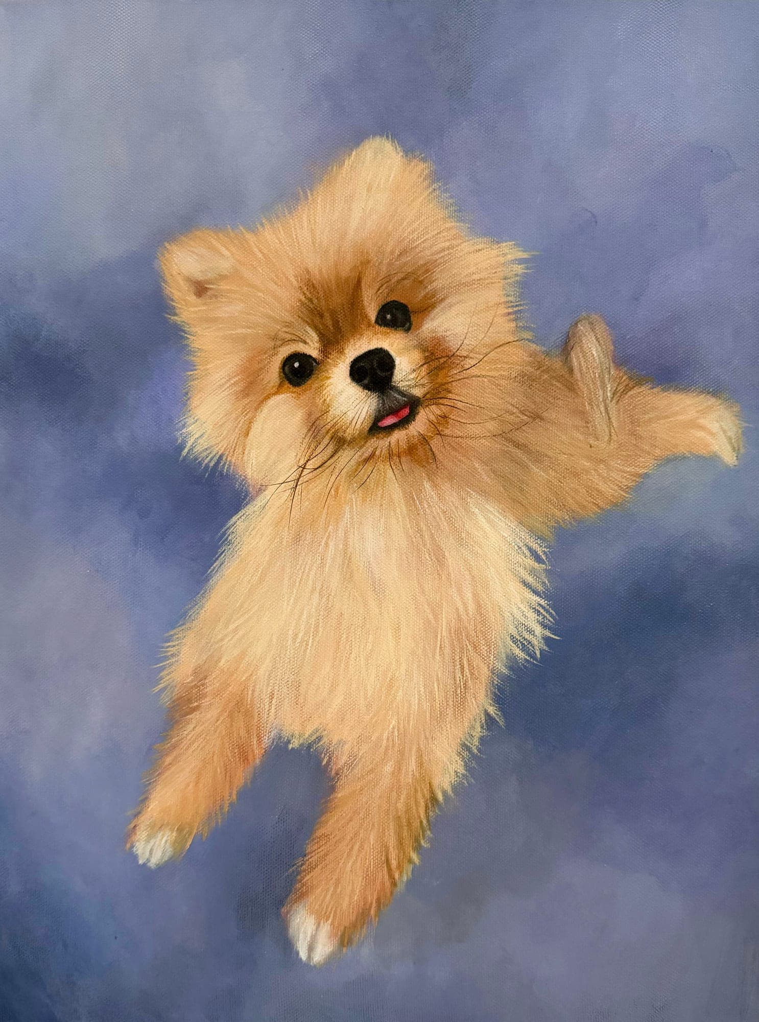 Pet Portrait 1