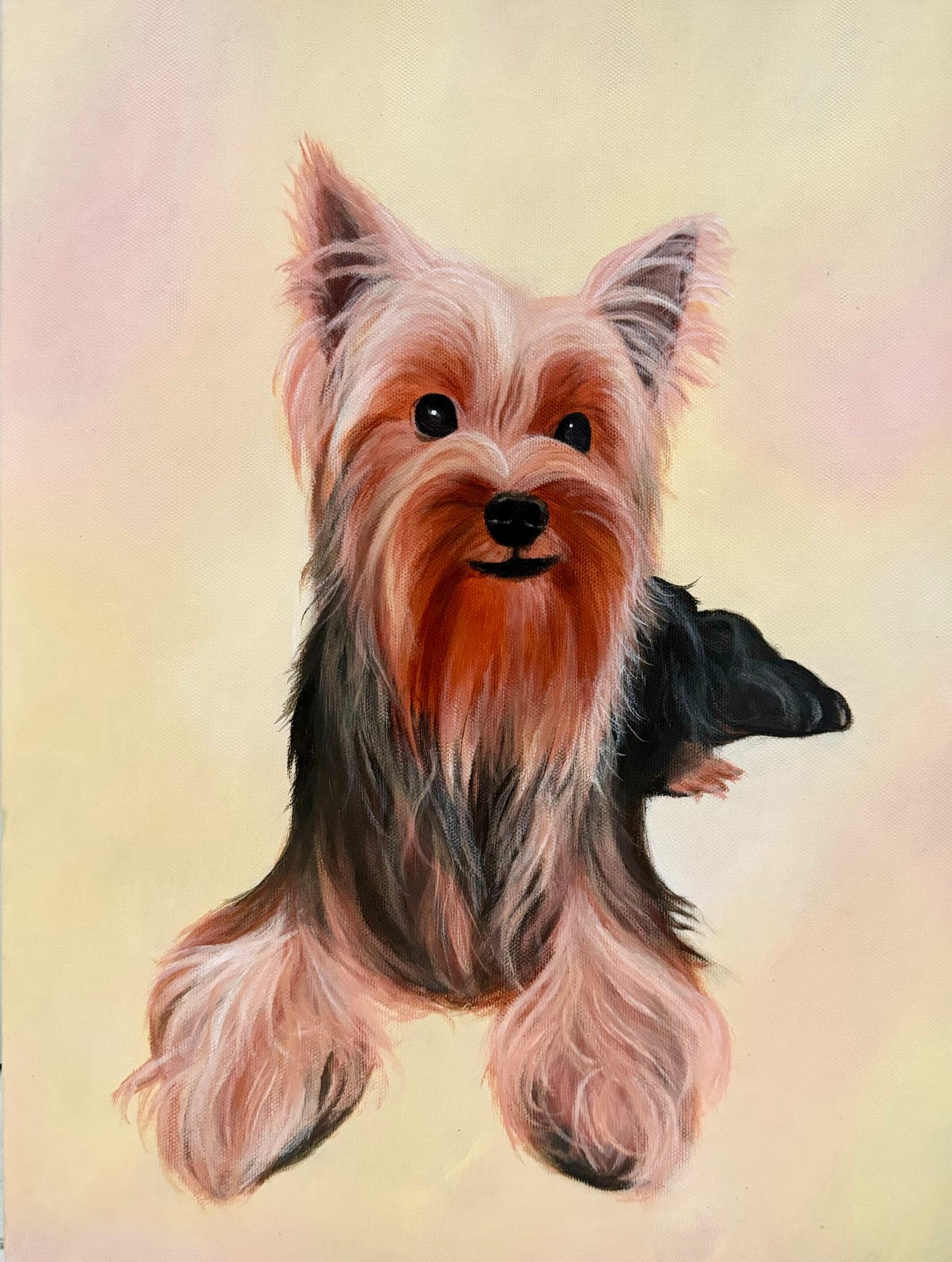 Pet Portrait 2